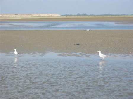 La Baie de Somme