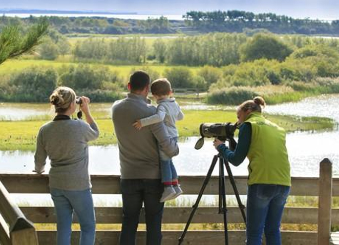 Découvrir le Parc du Marquenterre